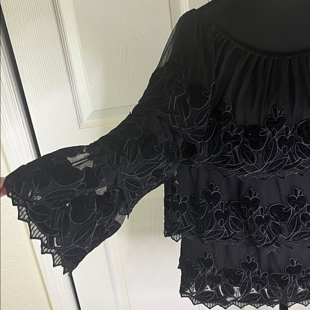 John Mark Black Embroidered Top Small Mesh Velvet Tiered Off Shoulder Whimsigoth